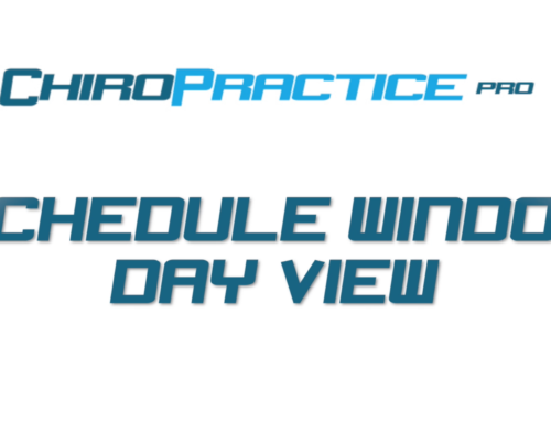 Schedule Window: Day View